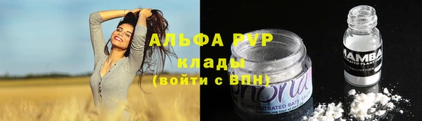 индика Алзамай