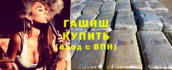 индика Алзамай