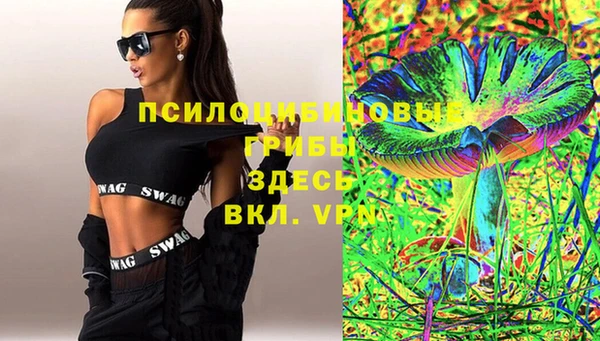 прущие грибы Алексин