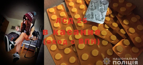 прущие грибы Алексин