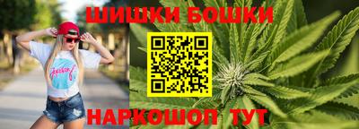 индика Партизанск