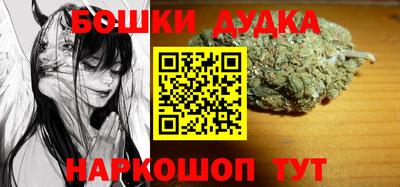 индика Партизанск