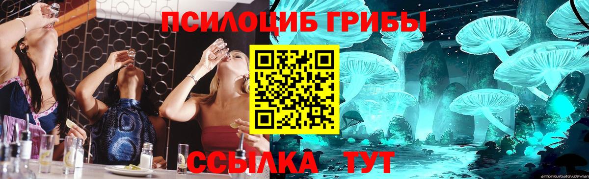 Галлюциногенные грибы ЛСД Черемхово